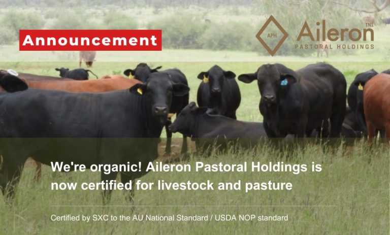 Announcement: We're Organic! Aileron Pastoral Holdings is now certified for livestock and pasture
